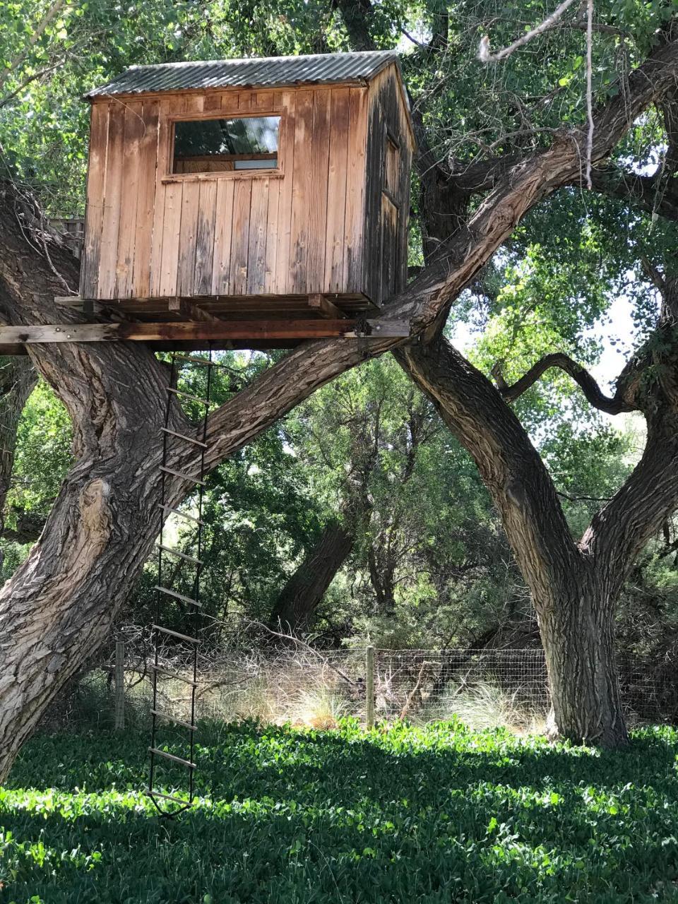 Morning Star Bed & Breakfast Of Corrales Exterior photo